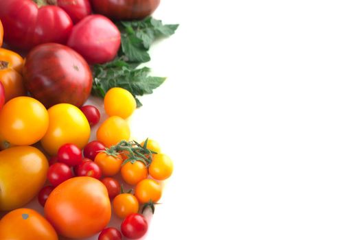 variety of ripe ogganic colorful tomatoes isolated on white background