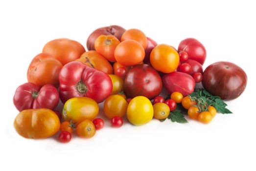 variety of ripe ogganic colorful tomatoes isolated on white background