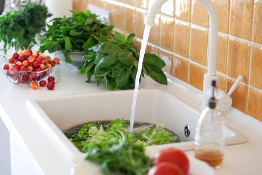 variety of herbs washed in modern white kitchen