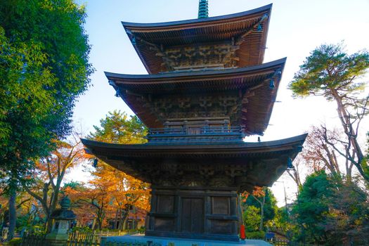Image of autumn leaves and triple tower. Shooting Location: Tokyo metropolitan area