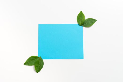 Blank Paper With Leaves Decoration For Business Advertisement.