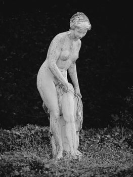 White marble stone sculpture of Venus in the garden in the summer day