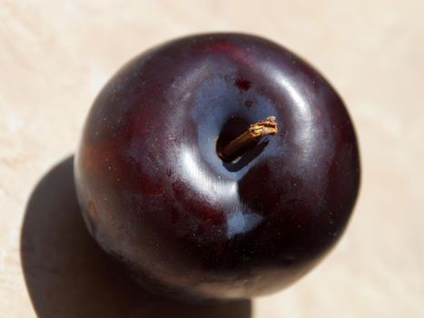 ripe blue plum close up in sunlight.