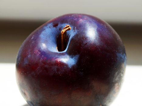 ripe blue plum close up in sunlight.