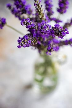 Purple lavender flowers in bouquet on concrete background