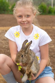 Rabbit little outdoor day girl summer white playing kid easter, from happy care for grass from celebrate farm, play ears. Holding soft outside,