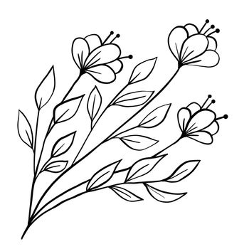 Hand drawn floral flower leaves illustration, black white elegant wedding ornament, Line art minimalism tattoo style design summer spring nature branch foliage blossom