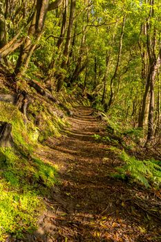 Hiking down to Lagoa do Fogo or Lake of Fire in Sao Miguel, Azores, Portugal