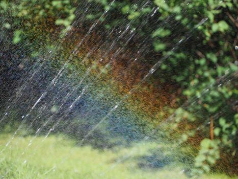 rainbow in droplets of water by rotating nozzle irrigation sprinkler aka a water sprinkler