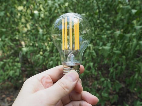 modern energy saving led bulb against green leaves