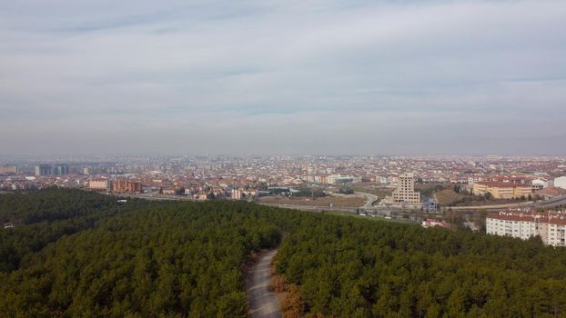 Eskisehir City Forest aerial drone view on pine forest