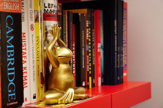 3 June 2019 Eskisehir, Turkey. Yoga tantra position figurine with copyspace on the side with books on the shelf
