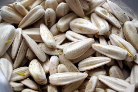 Organic sunflower and seed close up view