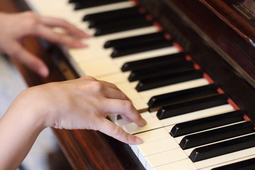 Close up of hands playing the classic wood  piano