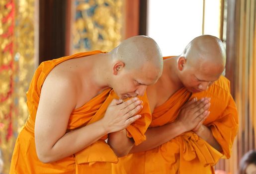 the ordination ceremony that change the Thai young men to be the new monks