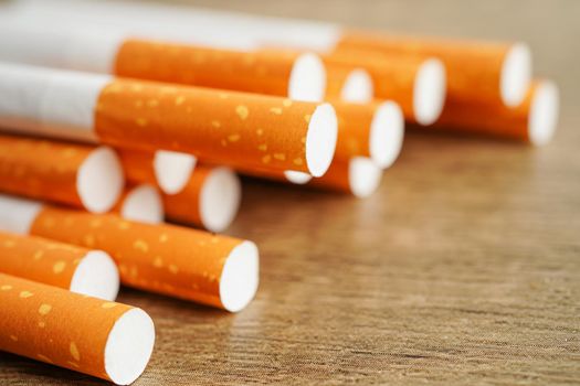 Cigarette, roll tobacco in paper with filter tube, No smoking concept.