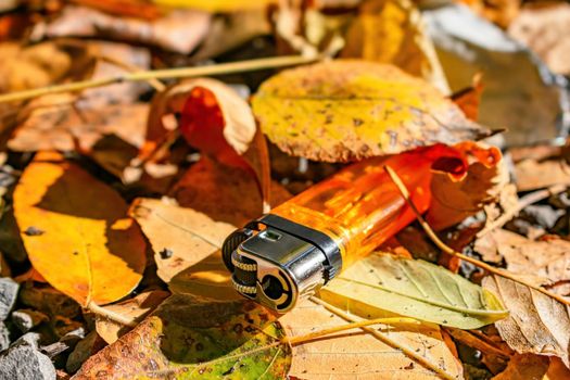 Lost orange lighter lies in the autumn forest