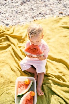 Little girl eats watermelon on a blanket. High quality photo