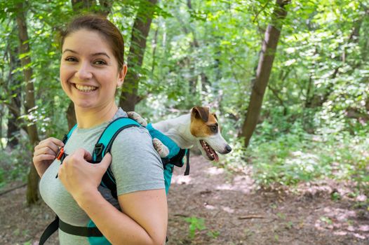 Caucasian woman walking outdoors with dog jack russell terrier in a special backpack