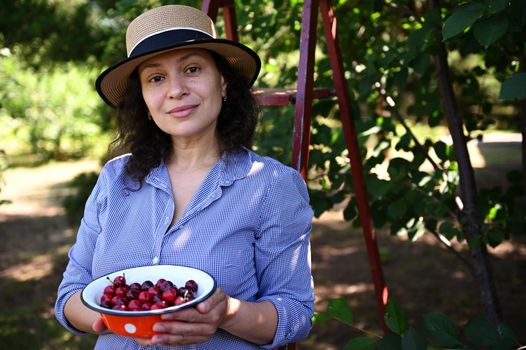 Portrait of a beautiful dark haired multi ethnic woman, eco farm owner, gardener showing freshly picked cherries in her organic garden. Picking ripe berries for sale at farmers markets. Agribusiness