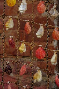 Sea shells attached on the fishing net texture template background close up view
