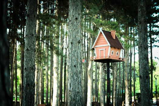 Home shaped wooden bird house in the pine forest