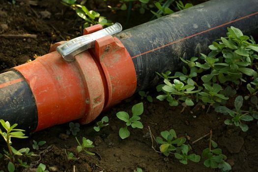 Garden irrigation hose connections close up view