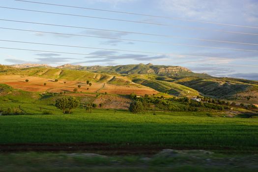 Green fields in Cizre Turkey at Sunset