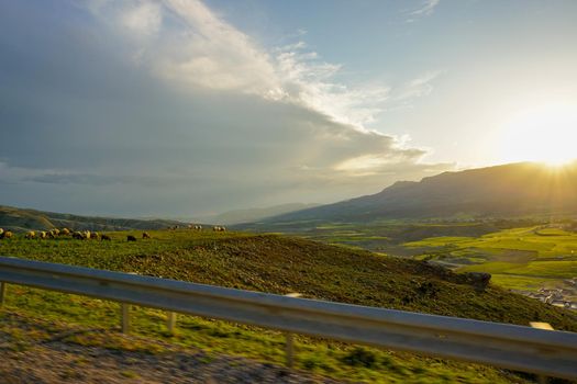 Green fields in Cizre Turkey at Sunset