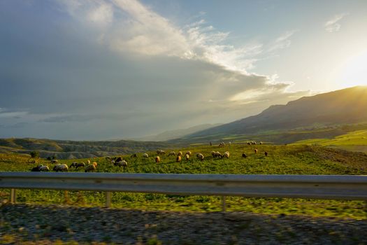 Green fields in Cizre Turkey at Sunset