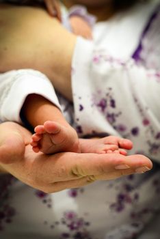 Newborn baby foot in mother hand close up view portrait image