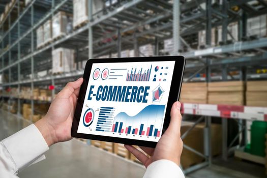 E-commerce data software provide modish dashboard for sale analysis to the online retail business