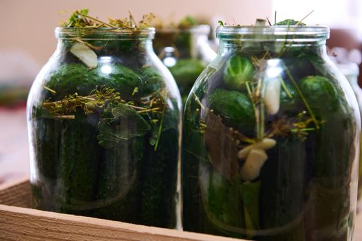 Salted marinated cucumbers preserved in a glass jar. Pickled homemade cucumbers with fresh dill. Autumn canning of vegetables. Healthy organic fermented food concept. Traditional recipes.