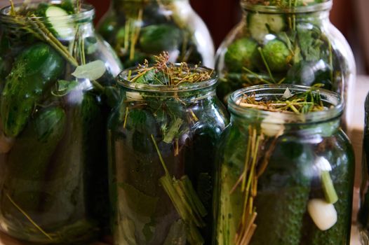 Marinated cucumbers preserved canned in glass jar. Pickled homemade gherkins with fresh dill. Autumn vegetables canning. Healthy homemade food. Family traditional recipe. Preservation, conservation.