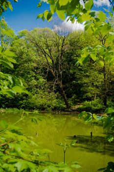 A lake with greener water in an abandoned park.