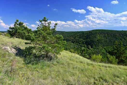 Beautiful summer landscape in the Czech Republic. Mohelen serpentine steppe in summer. (Mohelenska hadcova step)