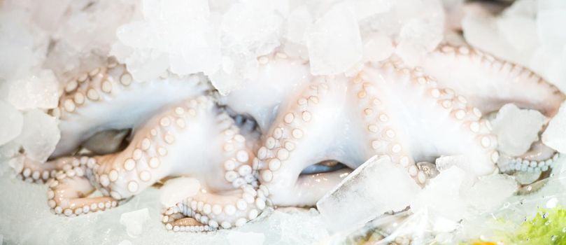 Complete raw and fresh octopus on ice
