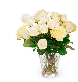 white Roses isolated on the white background