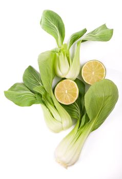 Chinese Vegetable cabbage on white background