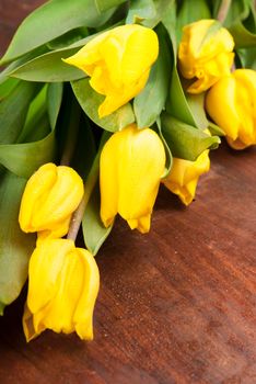 yellow tulips on wooden boards