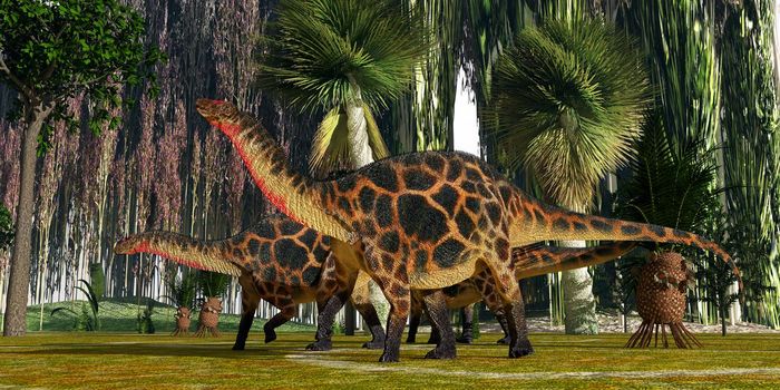 Jurassic vegetation towers over two Dicraeosaurus sauropod dinosaurs as they look for plants to eat.