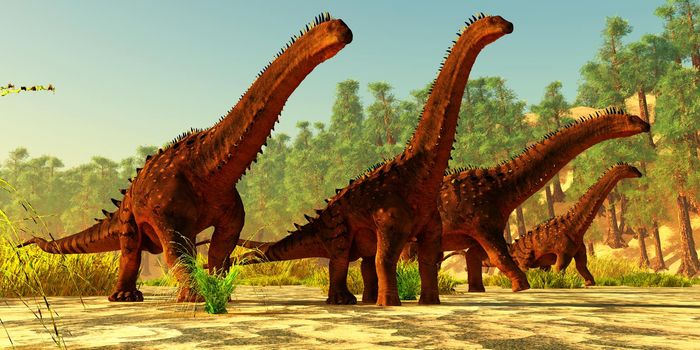 A herd of Alamosaurus sauropod dinosaurs walk together on a Cretaceous day of North America.