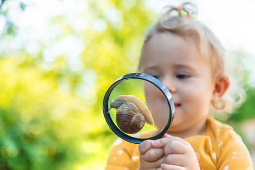 The child looks at the snail. Selective focus. Animal.