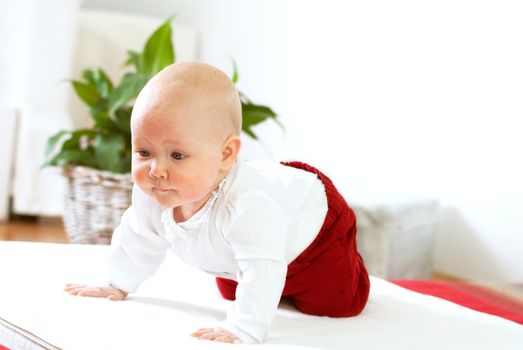 Toddler learns to crawl. High quality photo