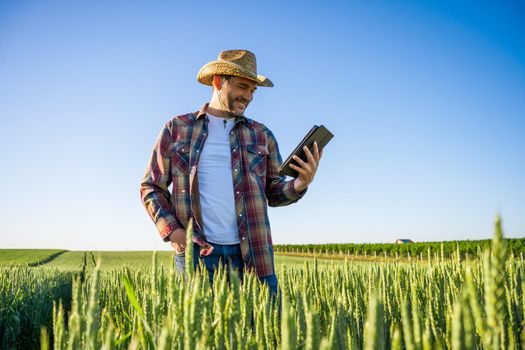 Man is cultivating barley on his land. He is satisfied because of good progress of crops.