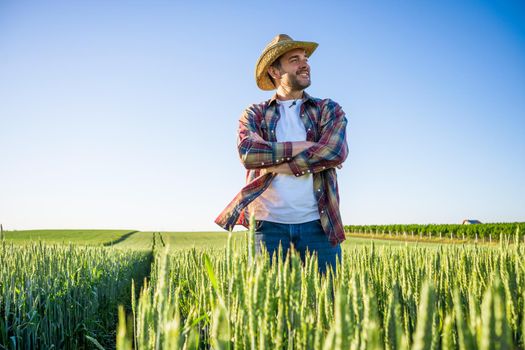 Man is cultivating barley on his land. He is satisfied because of good progress of crops.