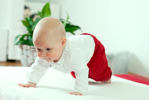 Toddler learns to crawl. High quality photo