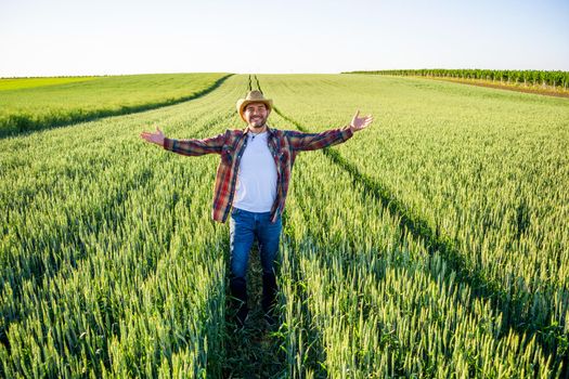 Man is cultivating barley on his land. He is satisfied because of good progress of crops.