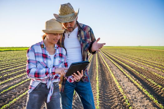 Man and woman are working as farmers in partnership. They are cultivating soybean.