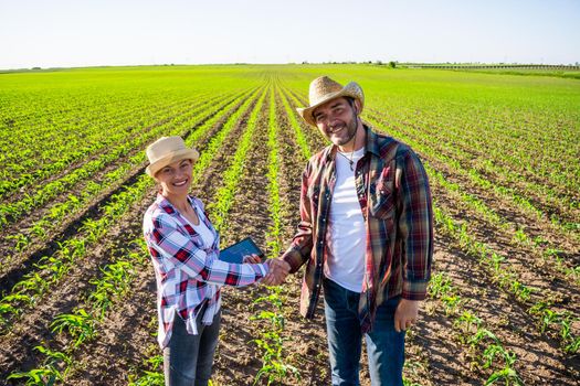 Man and woman are working together in partnership. They are cultivating corn.